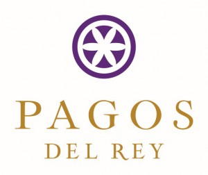 pagos_logo